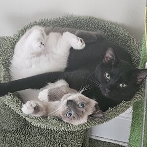 Meet your Posher, GiaLuna